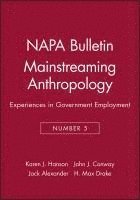 bokomslag Mainstreaming Anthropology