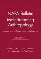 bokomslag Mainstreaming Anthropology