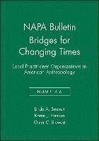 Bridges for Changing Times 1