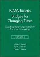 Bridges for Changing Times 1