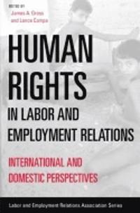 bokomslag Human Rights in Labor and Employment Relations