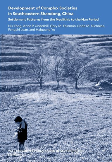 Hui Fang, Anne P Underhill, Gary M Feinman, Linda M. Nicholas, Fengshi Luan, Haiguang Yu - Development of Complex Societies in Southeastern Shandong, China, Häftad