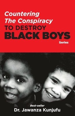 bokomslag Countering the Conspiracy to Destroy Black Boys