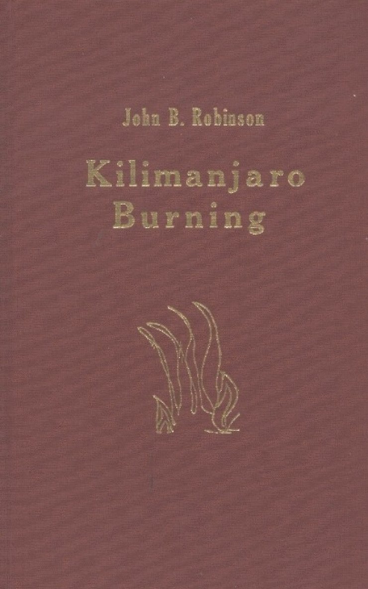 John B Robinson - Kilimanjaro Burning, Häftad