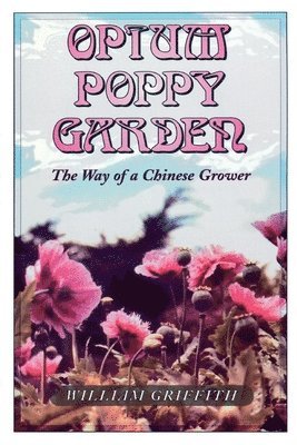 Opium Poppy Garden 1