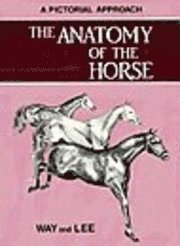 Anatomy of the Horse