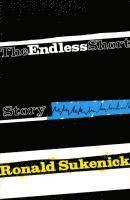 bokomslag The Endless Short Story