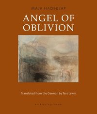 bokomslag Angel of Oblivion