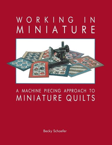 bokomslag Working in Miniature