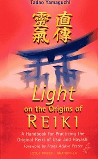 bokomslag Light on the Origins of Reiki