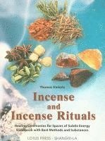 bokomslag Incense and Incense Rituals: Healing Ceremonies for Spaces of Subtle