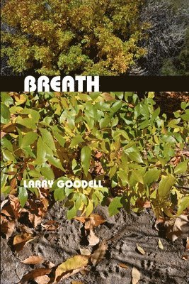 bokomslag Breath