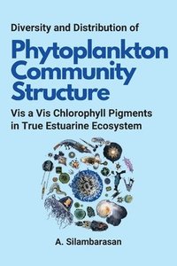 bokomslag Diversity and Distribution of Phytoplankton Community Structure Vis a Vis Chlorophyll Pigments in True Estuarine Ecosystem