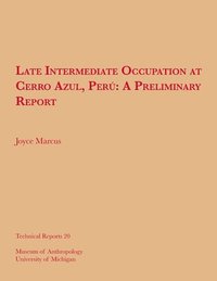 bokomslag Late Intermediate Occupation at Cerro Azul, Per, A Preliminary Report