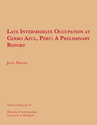 bokomslag Late Intermediate Occupation at Cerro Azul, Per, A Preliminary Report