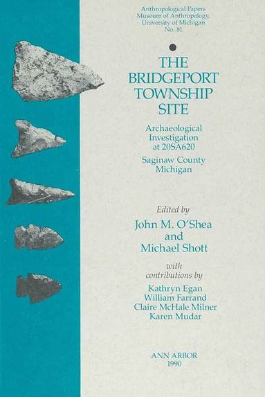 John M. O'Shea, Michael Shott - Bridgeport Township Site, Häftad