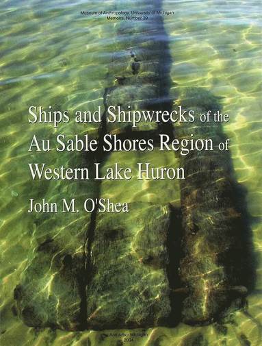 bokomslag Ships and Shipwrecks of the Au Sable Shores Region of Western Lake Huron