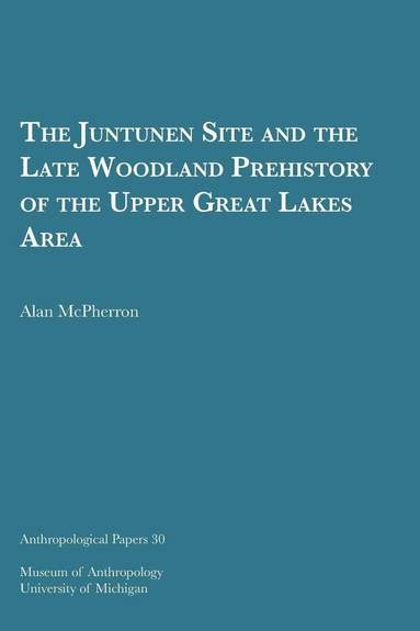 bokomslag Juntunen Site and the Late Woodland Prehistory of the Upper Great Lakes Area