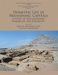 bokomslag Domestic Life in Prehispanic Capitals