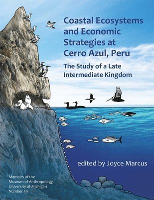 Coastal Ecosystems and Economic Strategies at Cerro Azul, Peru 1