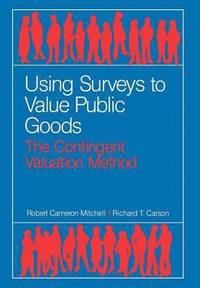 bokomslag Using Surveys to Value Public Goods