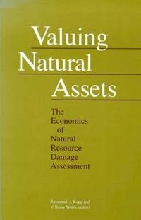 bokomslag Valuing Natural Assets