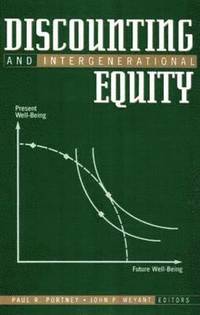bokomslag Discounting and Intergenerational Equity