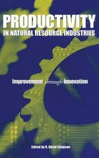 bokomslag Productivity in Natural Resource Industries