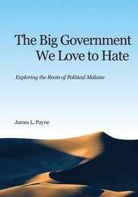 bokomslag Big Government We Love to Hate