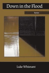 Luke Whisnant - Down in the Flood, Häftad