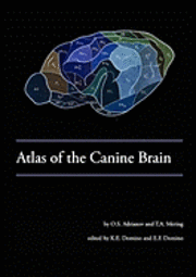 bokomslag Atlas of the Canine Brain
