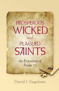 bokomslag Prosperous Wicked and Plagued Saints