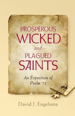 bokomslag Prosperous Wicked and Plagued Saints