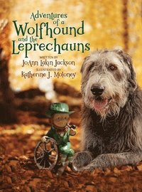 bokomslag Adventures of a Wolfhound and the Leprechauns