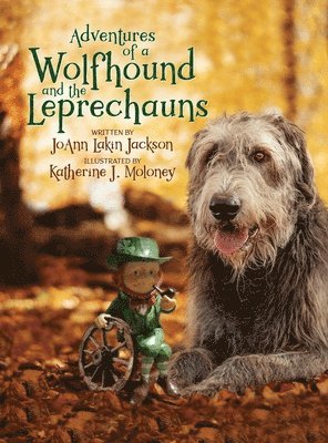 bokomslag Adventures of a Wolfhound and the Leprechauns