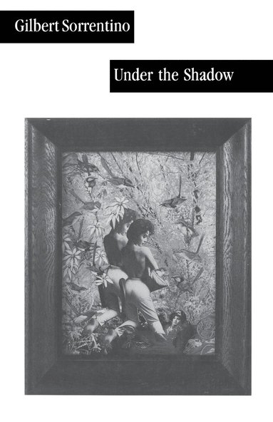 Gilbert Sorrentino - Under the Shadow, Häftad