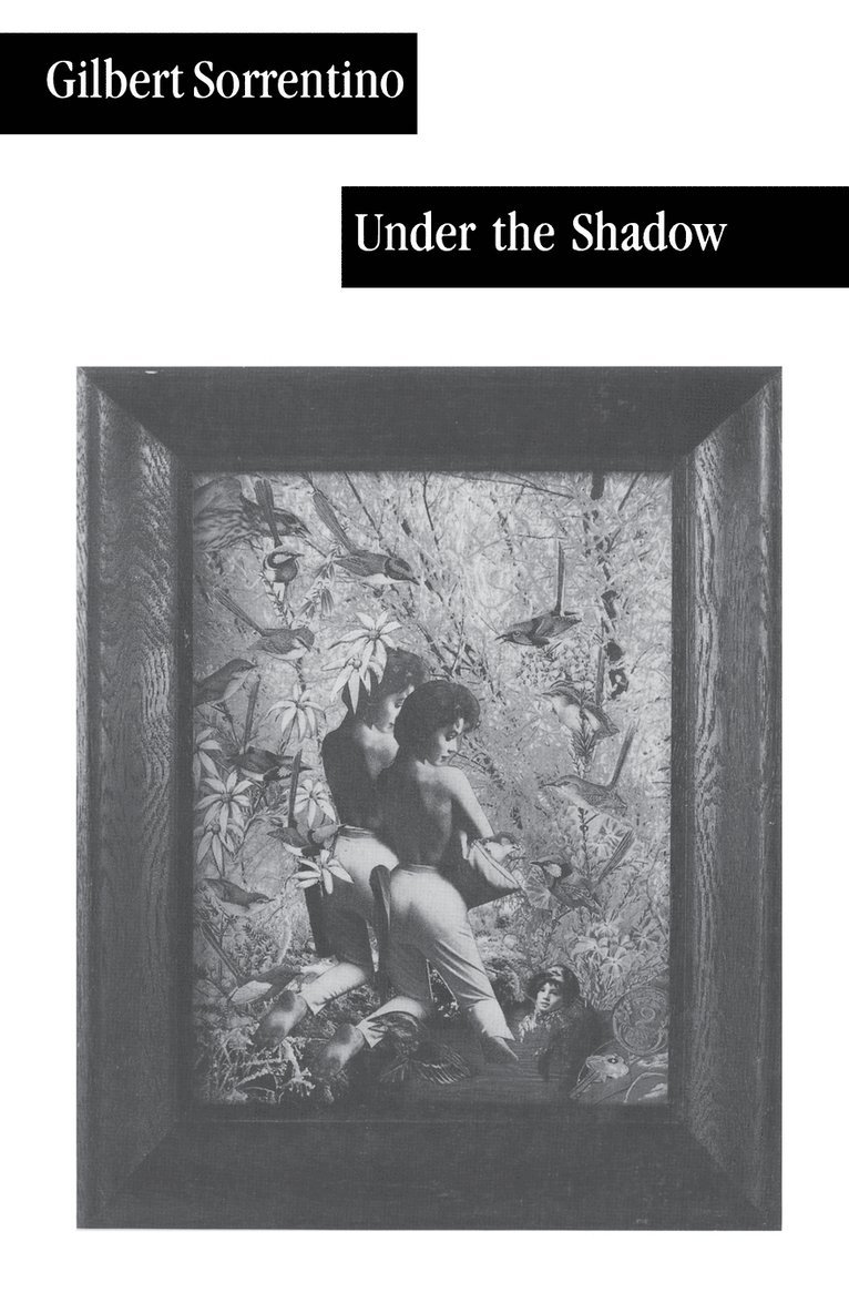 Under the Shadow 1