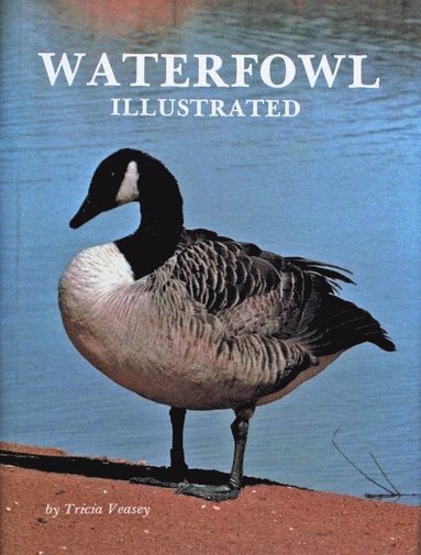 bokomslag Waterfowl Illustrated