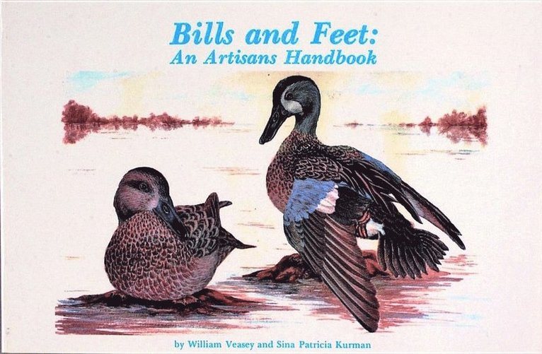 Bills and Feet 1