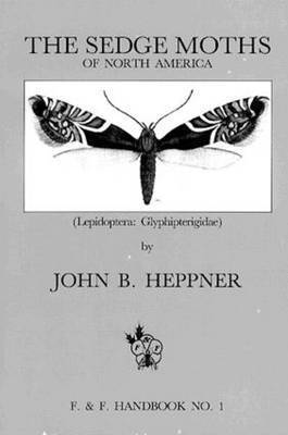bokomslag Sedge Moths of North America