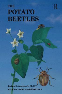 The Potato Beetles 1