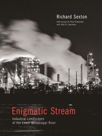 bokomslag Enigmatic Stream