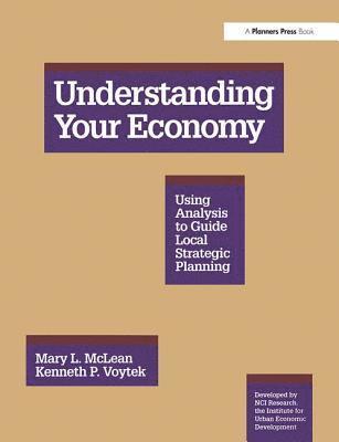 bokomslag Understanding Your Economy