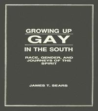 bokomslag Growing Up Gay in the South
