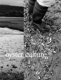 bokomslag Oyster Culture