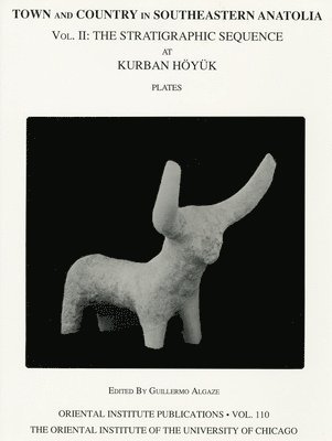 bokomslag Town and Country in Southeastern Anatolia, Volume II