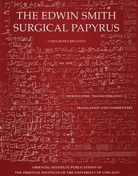 bokomslag Edwin Smith Surgical Papyrus. Volume 1