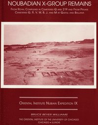 bokomslag Excavations Between Abu Simbel and the Sudan Frontier, Part 9