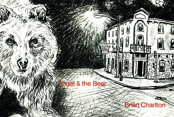 Brian Charlton - Angel and the Bear, Häftad. Tillgänglighet: Tillfälligt slut