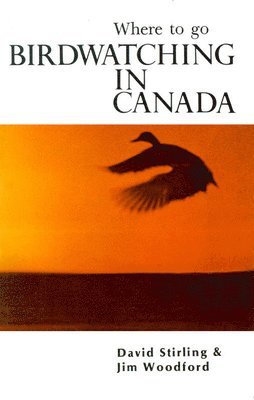 Bird Watching in Canada 1